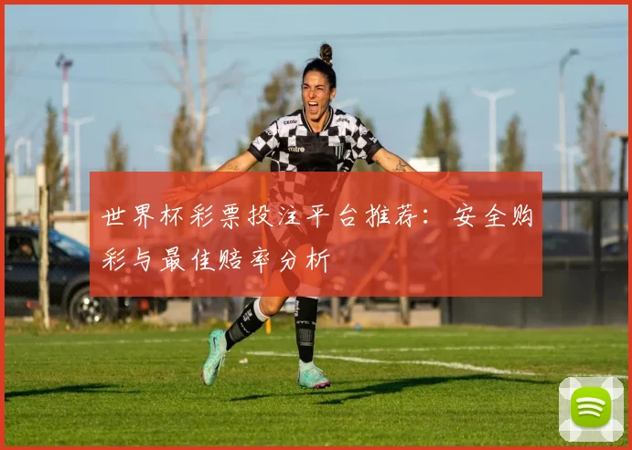 世界杯彩票投注平台推荐:安全购彩与最佳赔率分析