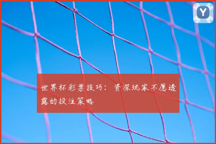 世界杯彩票技巧：资深玩家不愿透露的投注策略