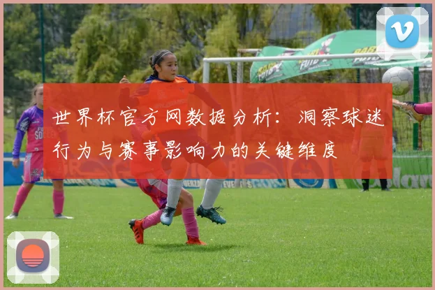 世界杯官方网数据分析：洞察球迷行为与赛事影响力的关键维度