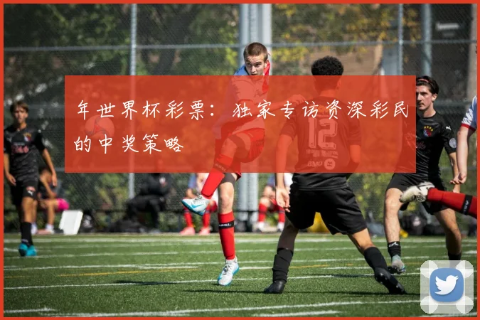 年世界杯彩票：独家专访资深彩民的中奖策略