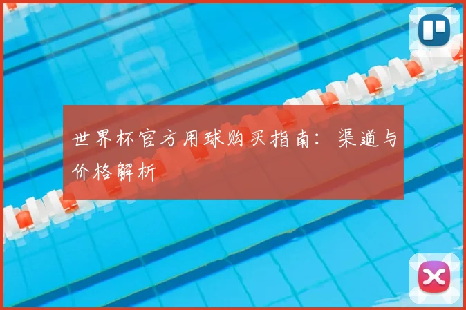 世界杯官方用球购买指南：渠道与价格解析