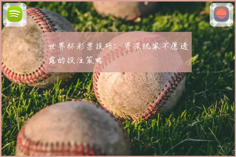 世界杯彩票技巧：资深玩家不愿透露的投注策略
